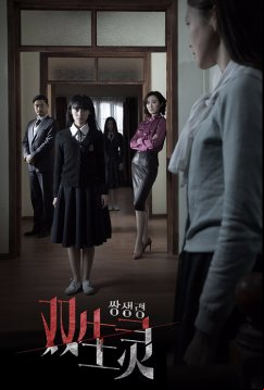 Призрак-близнец (2015)