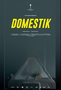 Домашний режим (2018)