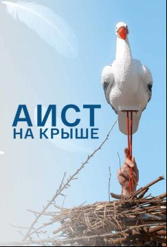 Аист на крыше (2021)