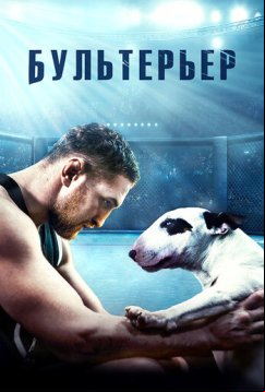 Бультерьер (2022)