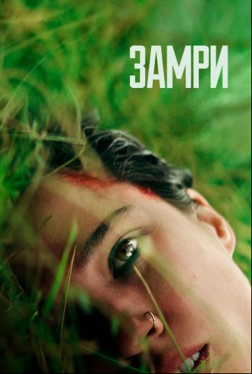 Замри Замри